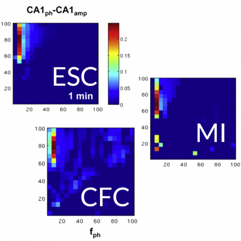 three ways of calculating phase-amplitude coupling