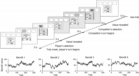 Player vs computer competitor trials