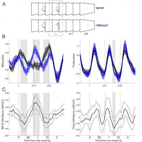 Graph showing beta signalled local conflict, and carried over this effect to the next cue in a sequence.