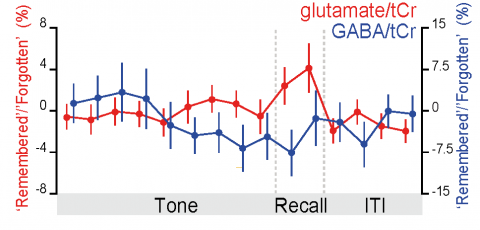 plot of glutate and GABA tCr during trials