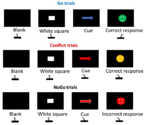 a diagram showing the screens that participants see during the trails- in the go, conflict and no-go situations, including what the joystick positions are.