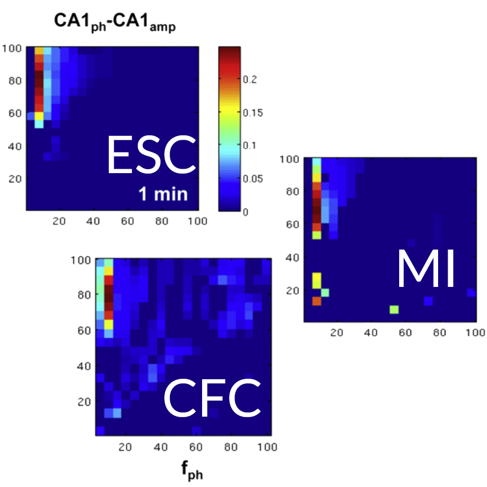 three ways of calculating phase-amplitude coupling