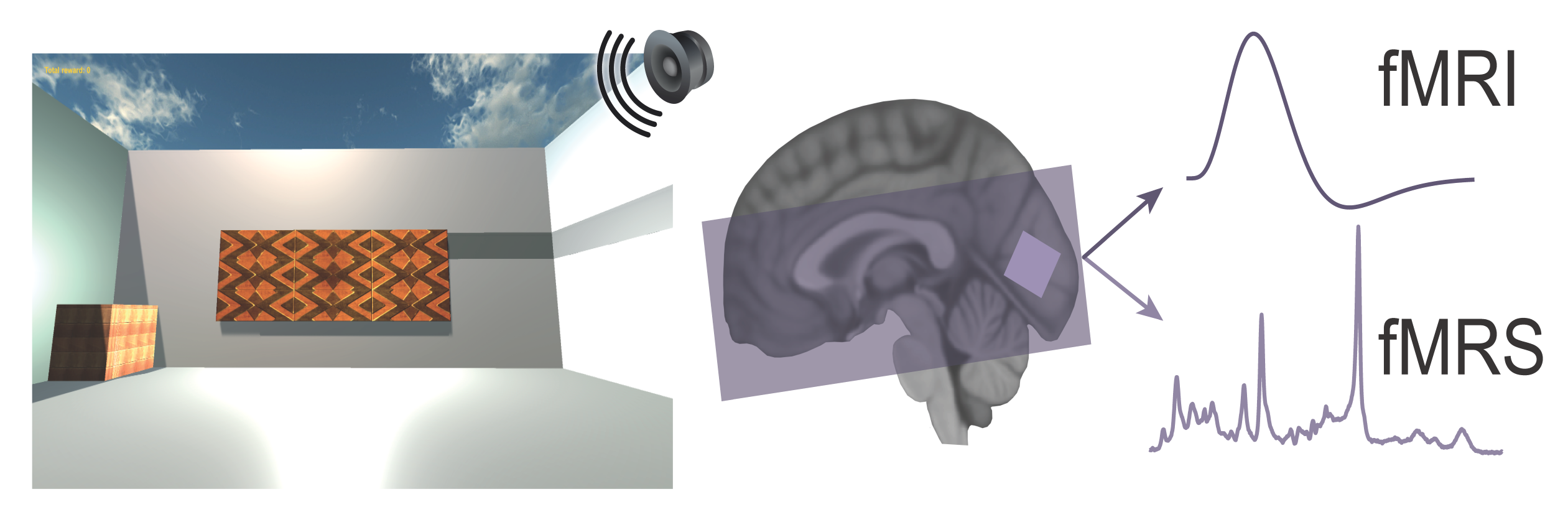 image of virtual environment, and images of fMRI and fMRI ouputs being read from brain imaging
