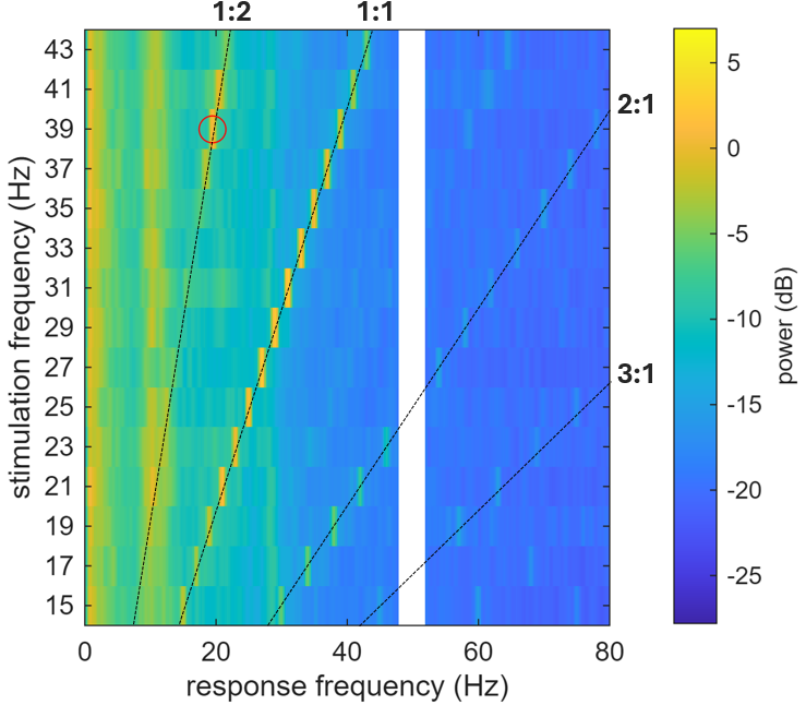 a plot showing green on the left, and blue elsewhere, which a yellow intense band vertically at 1 HZ, 10 HZ, and diagonal sunbursts